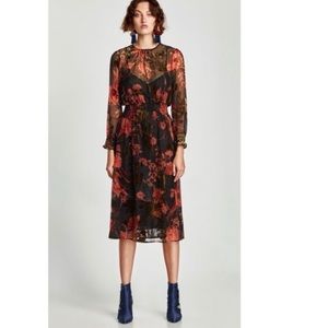 Zara Velvet Floral Sheer Midi Dress